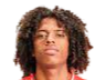 https://img.sderhu.com/img/football/player/135ad8787fd13961a93e165e79e736ff.png