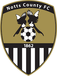 https://img.sderhu.com/img/football/team/9e230c89a846b9cadf91884918fa7611.png